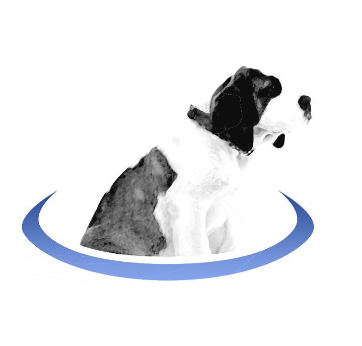 BernirPortal Dog logo